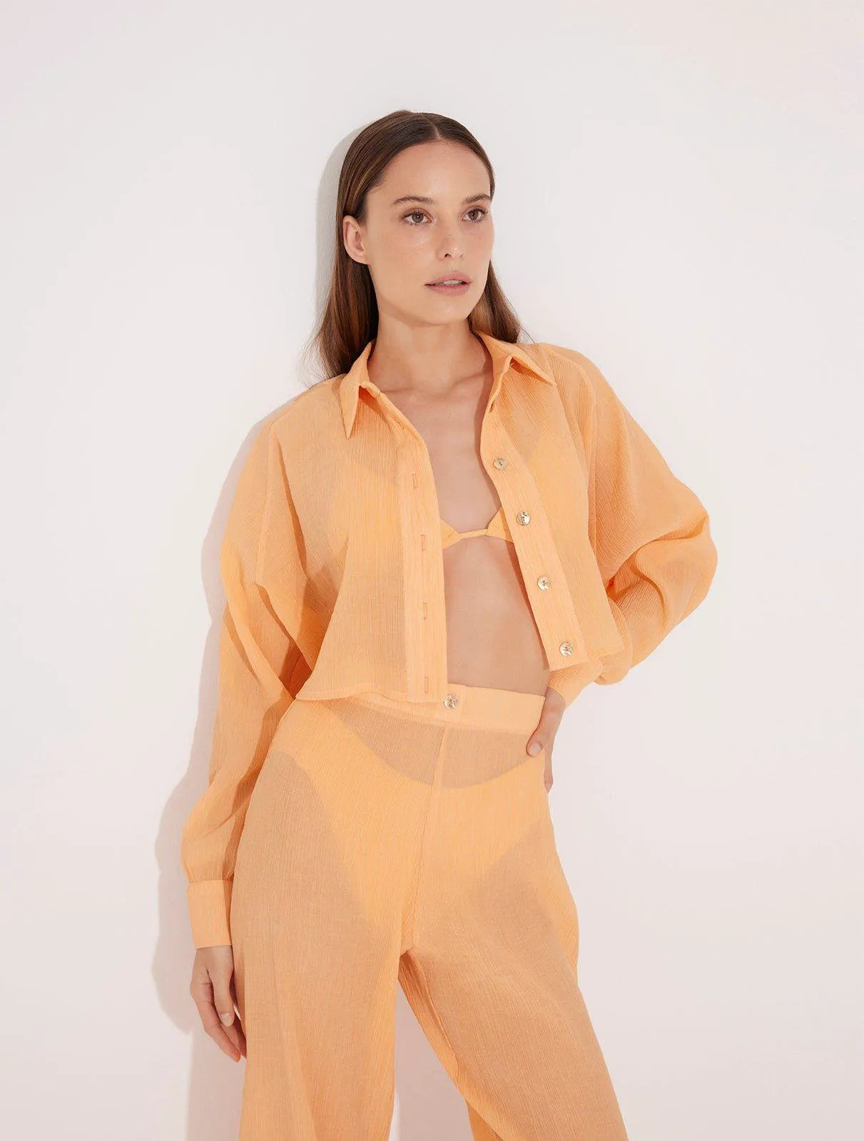 Jacinta Orange Cropped Sheer Long Sleeve Shirt and Aura Orange High Waist Beach Pants
